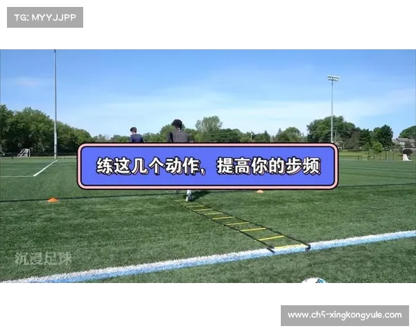 提升步频训练效果的科学方法与实践技巧分析