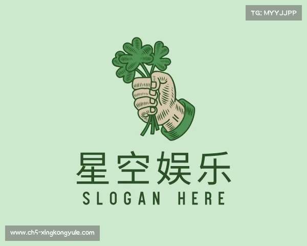 了解星空娱乐游戏平台